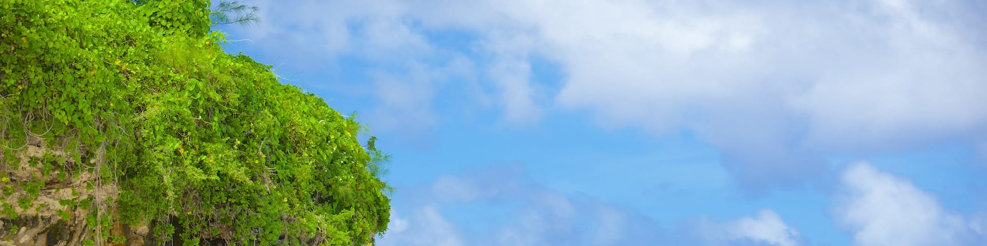 Atiu showing rugged coastline