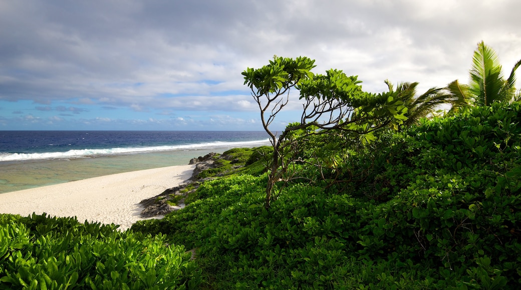 Atiu som visar en strand