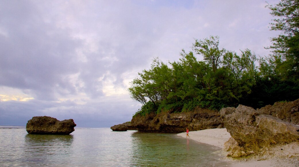 Atiu featuring rocky coastline