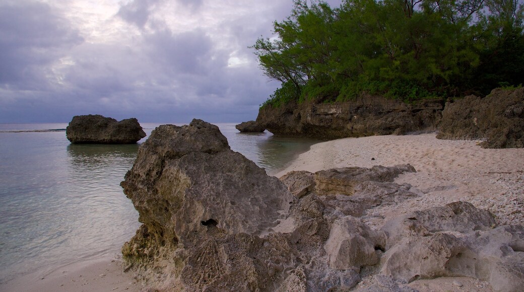 Atiu showing rugged coastline