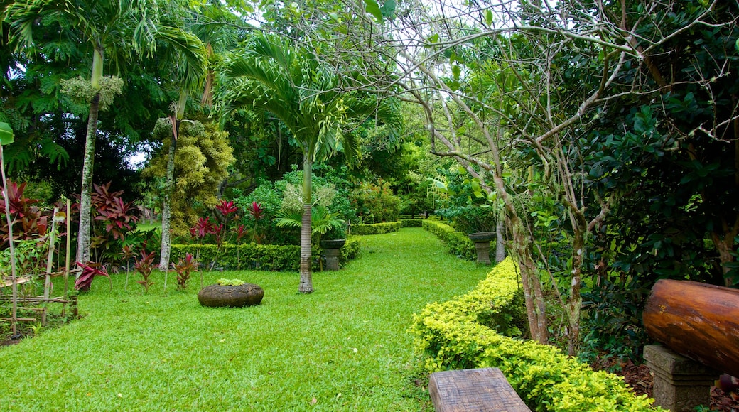 Rarotonga ofreciendo un parque