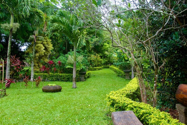 Rarotonga mettant en vedette parc