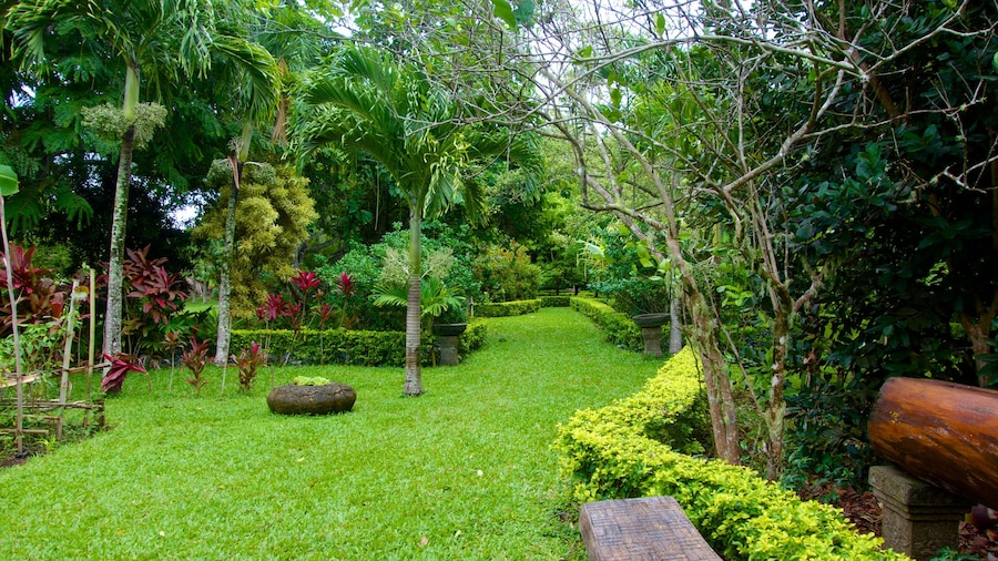 Rarotonga showing a park