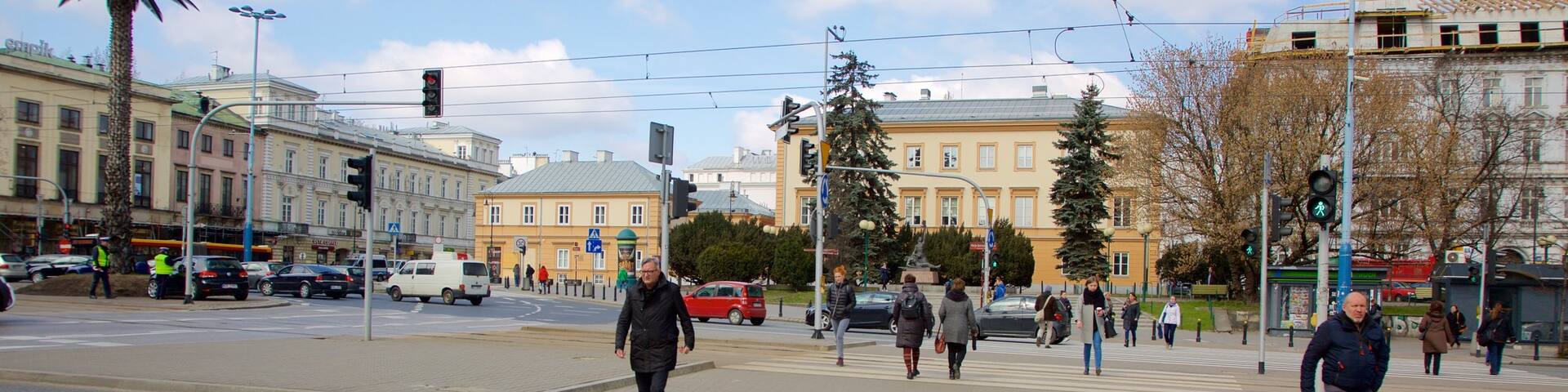 Palm Tree which includes street scenes
