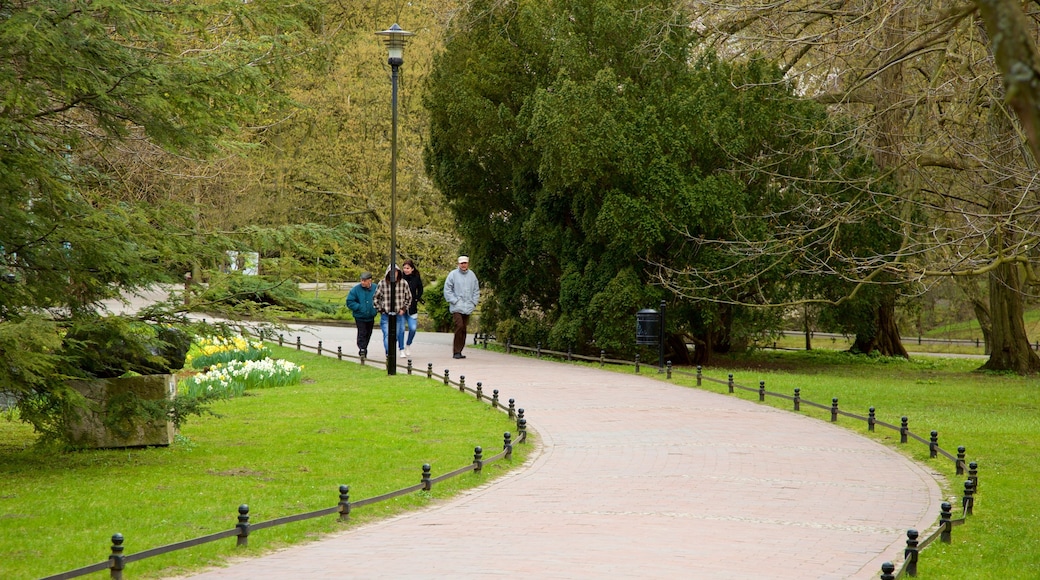 Oliwa Park showing a garden