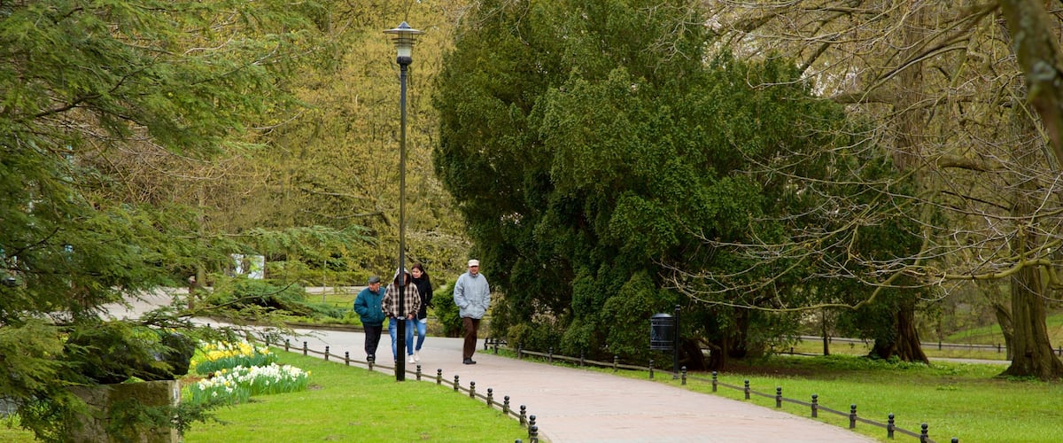 Park Oliwski mit einem Park