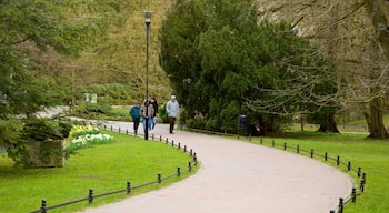 Parque Oliwa mostrando un jardín