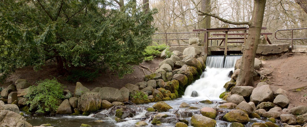 Oliwa Park featuring a river or creek