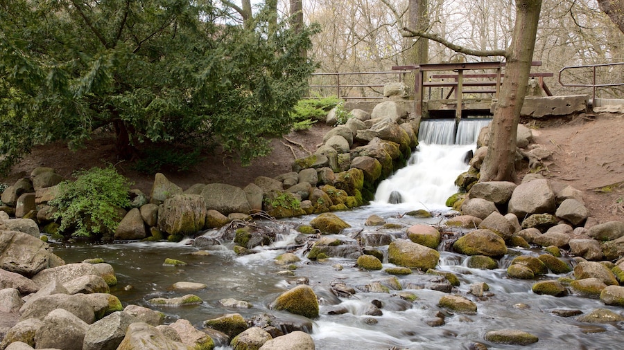Oliwa Park which includes a river or creek