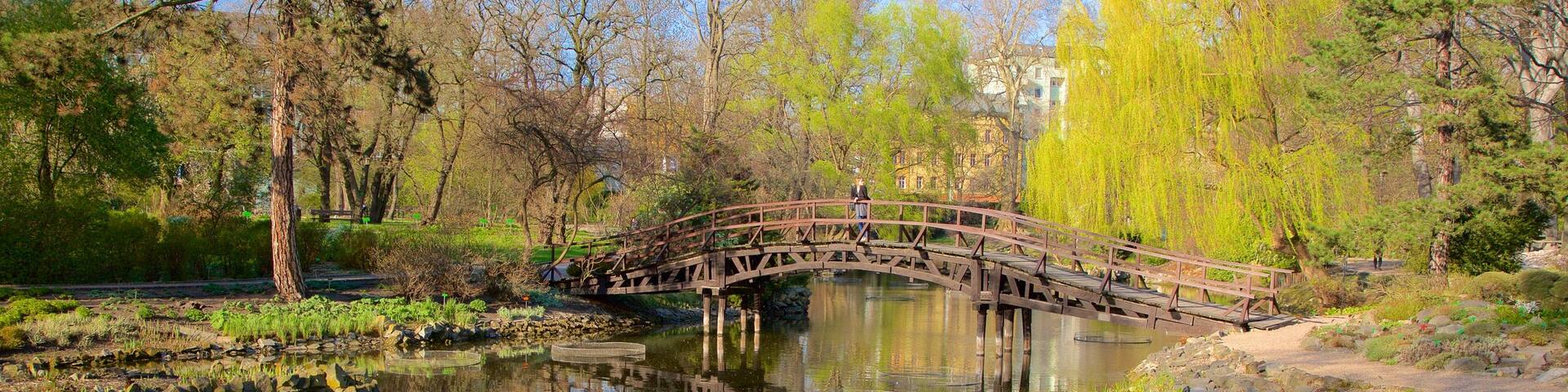 Botanical Gardens featuring a pond and a park