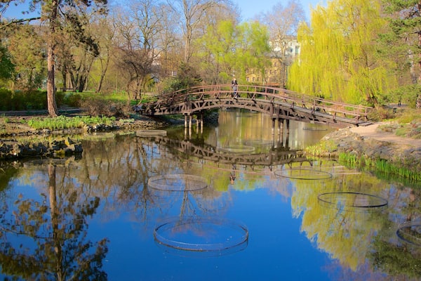 Botanical Gardens showing a garden and a pond