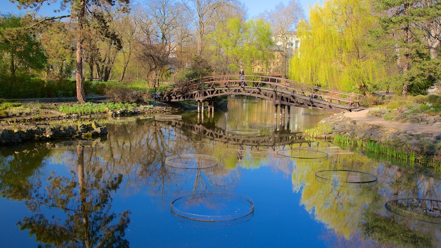 Botanical Gardens bevat een vijver en een park