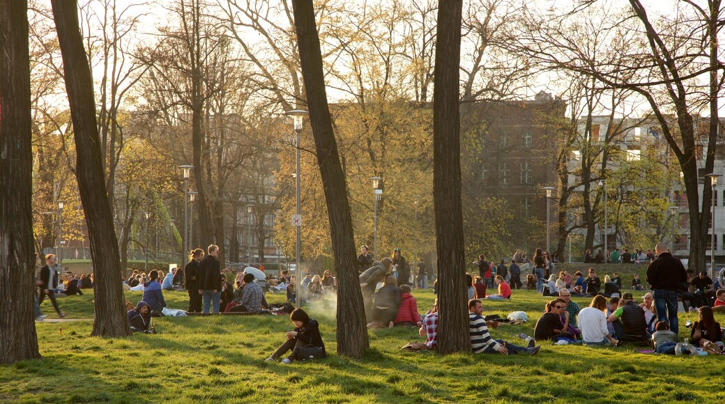 Wroclaw showing a park as well as a large group of people