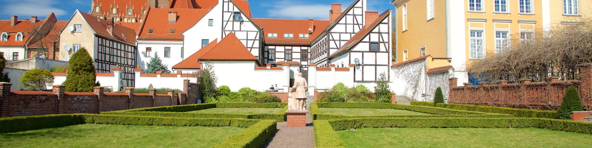 Wroclaw featuring a park