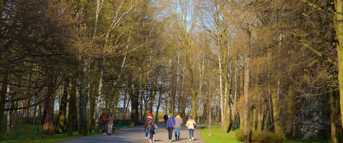 Jelitkowo Beach showing a park