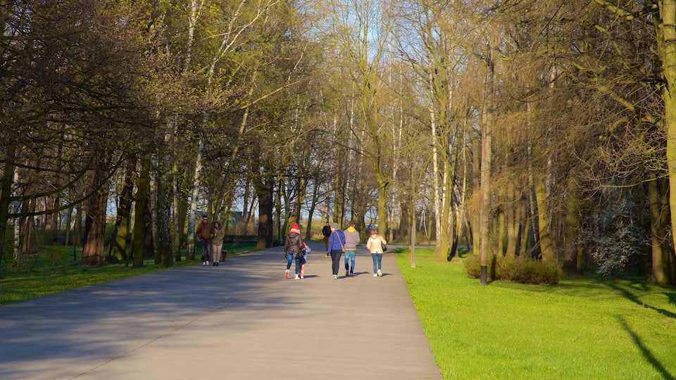 Jelitkowo Beach ซึ่งรวมถึง สวนสาธารณะ