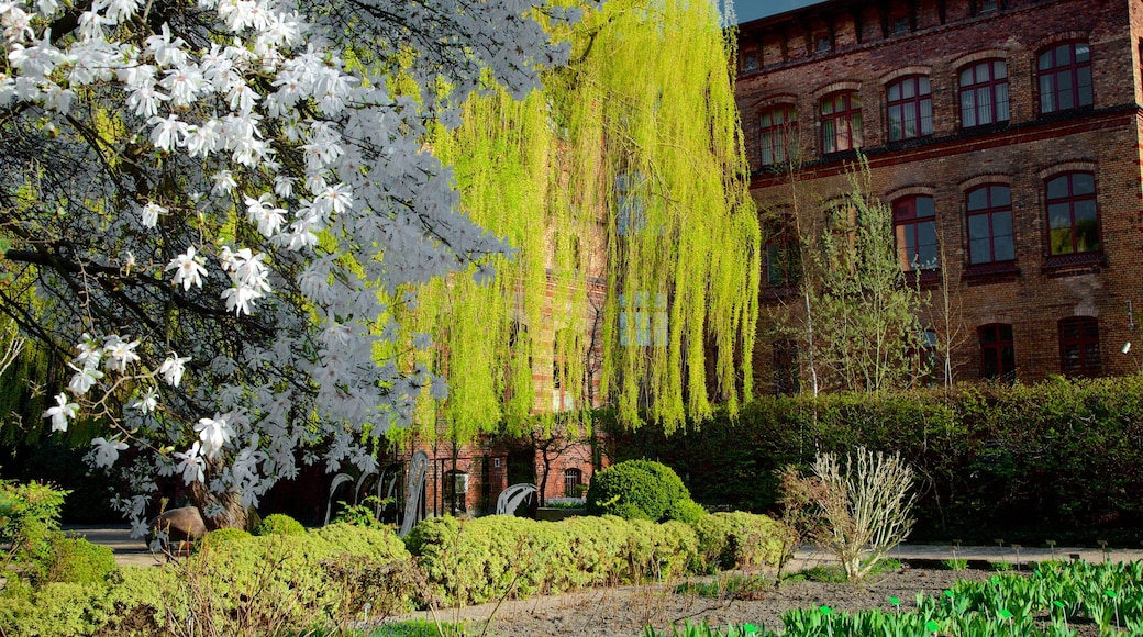 Botanisk trädgård som visar en park