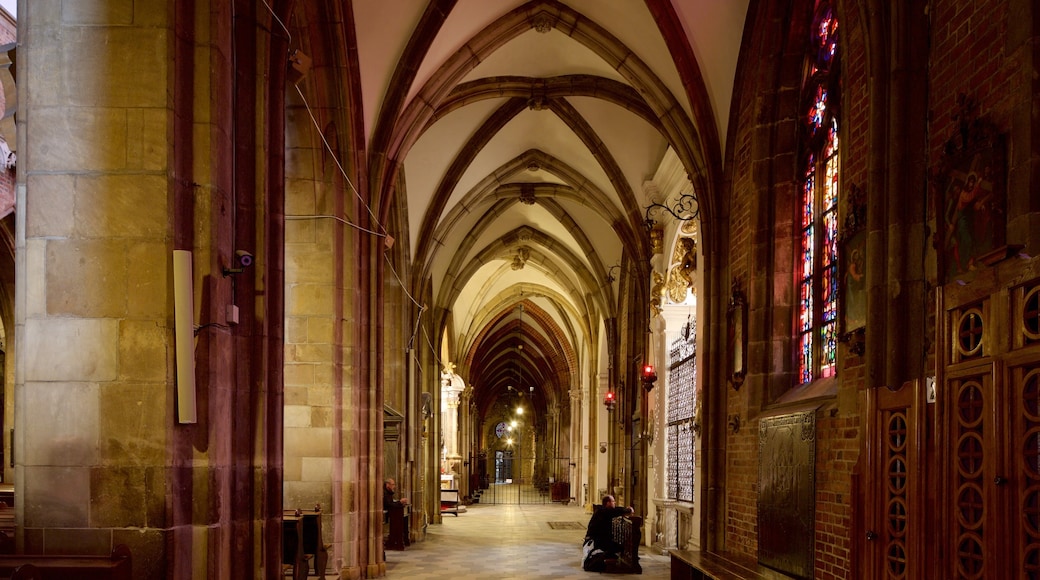 Catedral de Wroclaw ofreciendo una iglesia o catedral y vistas interiores