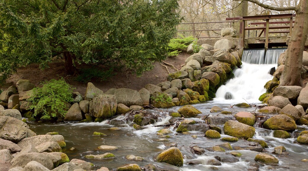 Oliwa Park which includes a river or creek and a garden