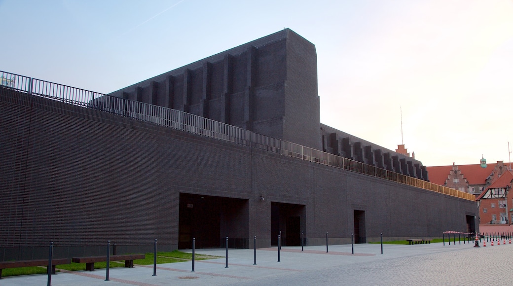 Danzica caratteristiche di teatro