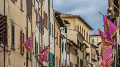 Arezzo featuring a city