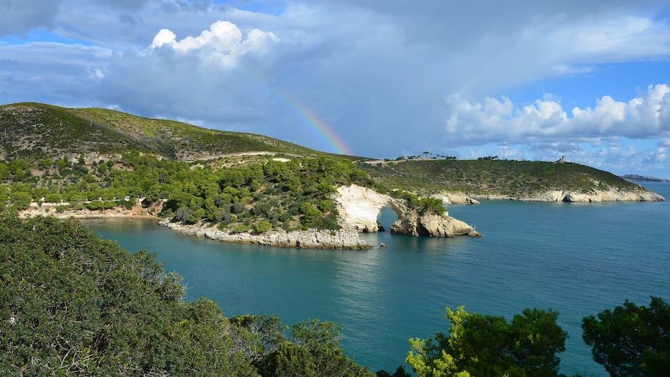 Gargano - Foggia featuring rocky coastline