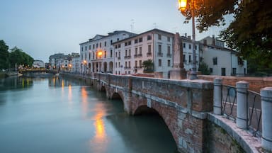 Treviso que incluye un río o arroyo y una ciudad