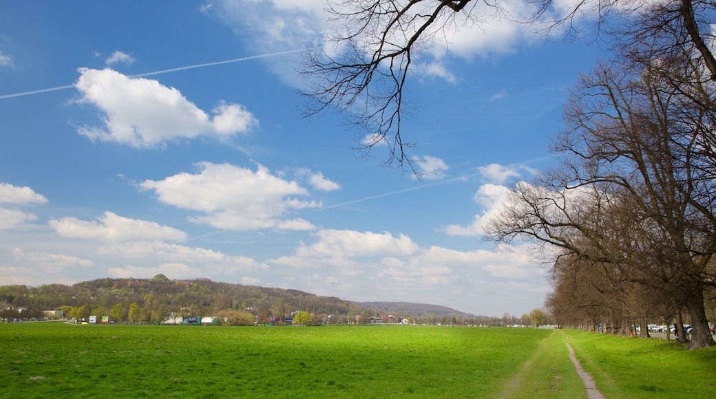 Kościuszko Mound mostrando giardino