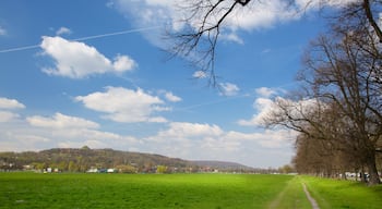 Kościuszko Mound mostrando giardino