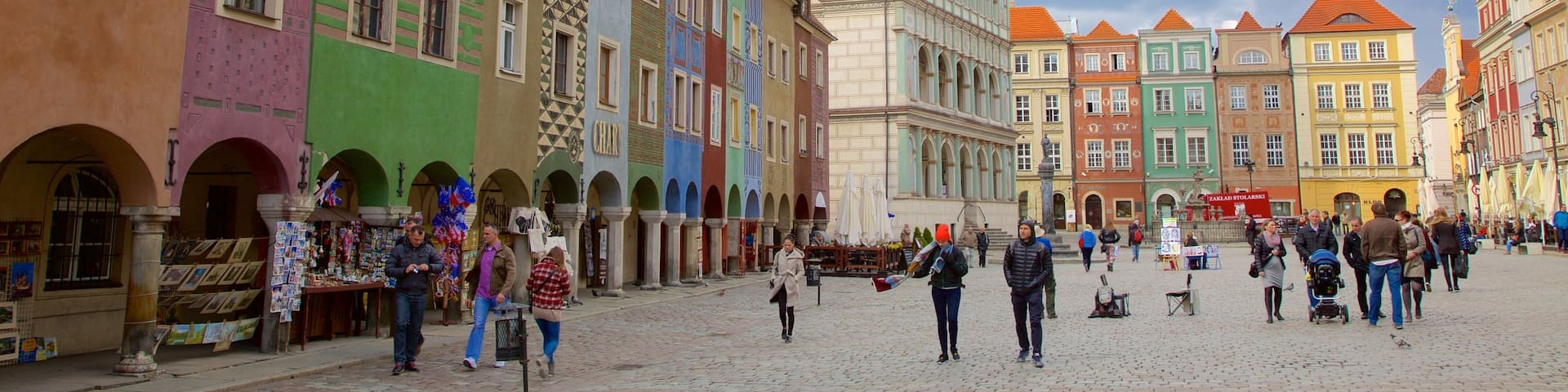 Poznan Town Hall showing a square or plaza and street scenes