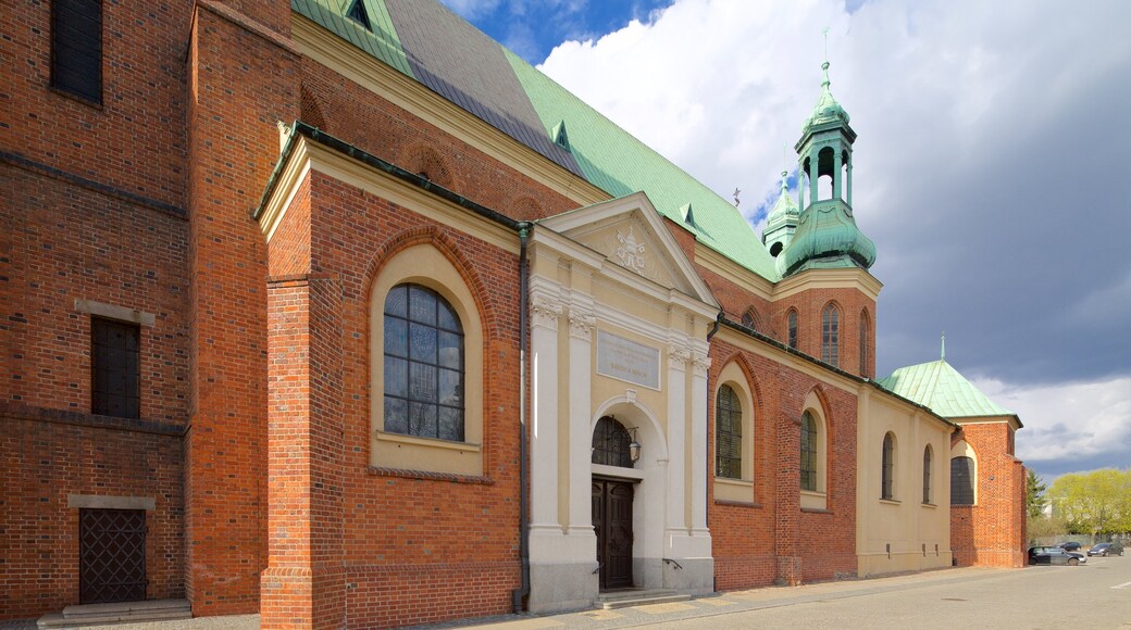 Cattedrale di Poznan che include chiesa o cattedrale