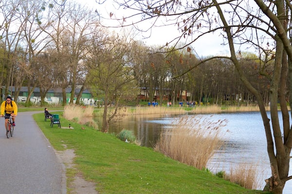 Malta Lake which includes a lake or waterhole and a park