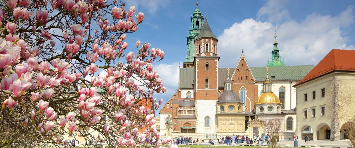Wawel Cathedral featuring flowers and a city
