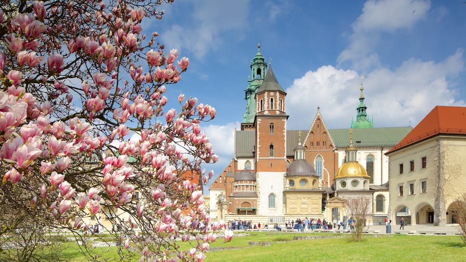 Wawel-katedralen som viser by og blomster