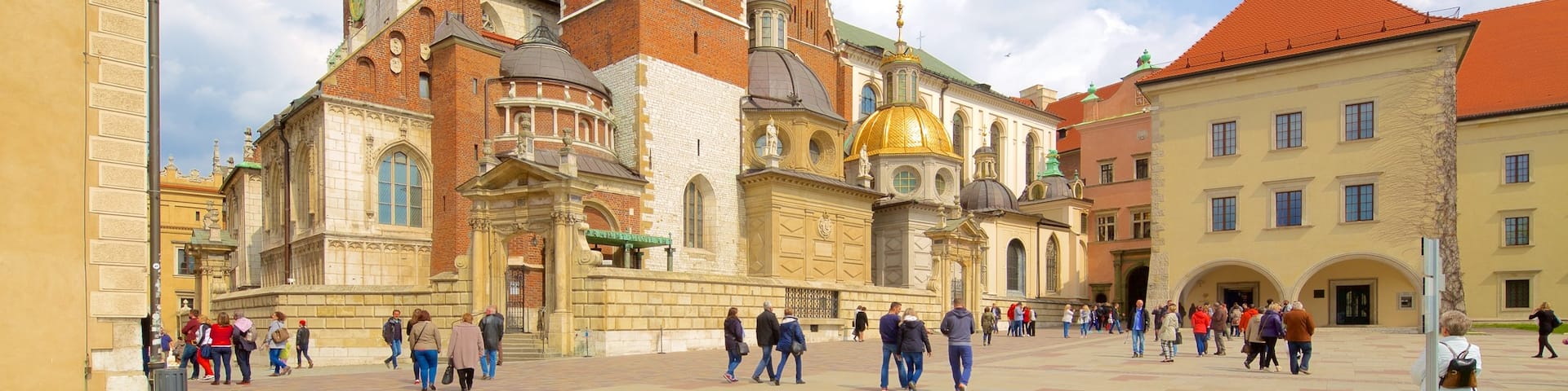 Wawel Cathedral showing a square or plaza and a city