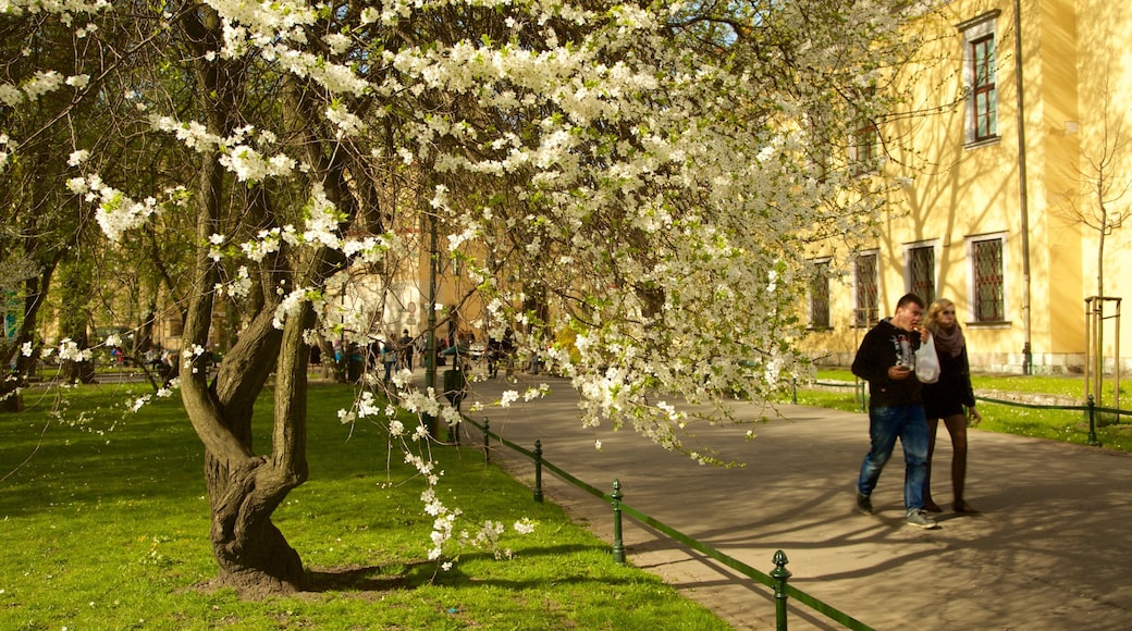 Planty Park showing a park as well as a couple