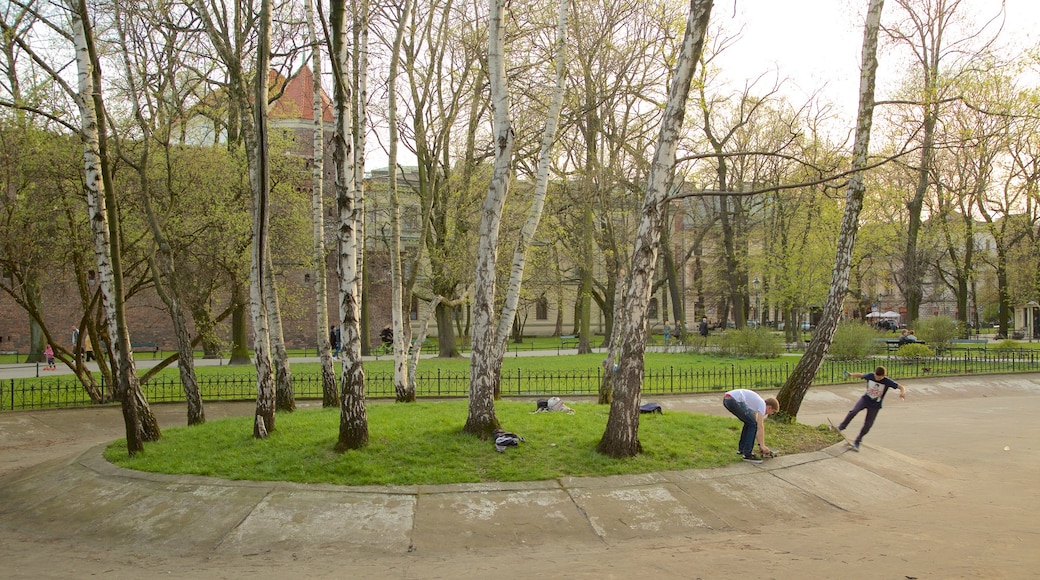 Planty Park featuring a park