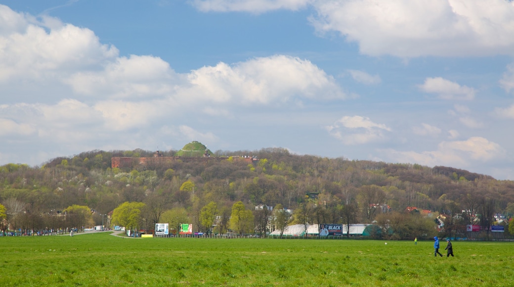 Kościuszko-Hügel das einen Park