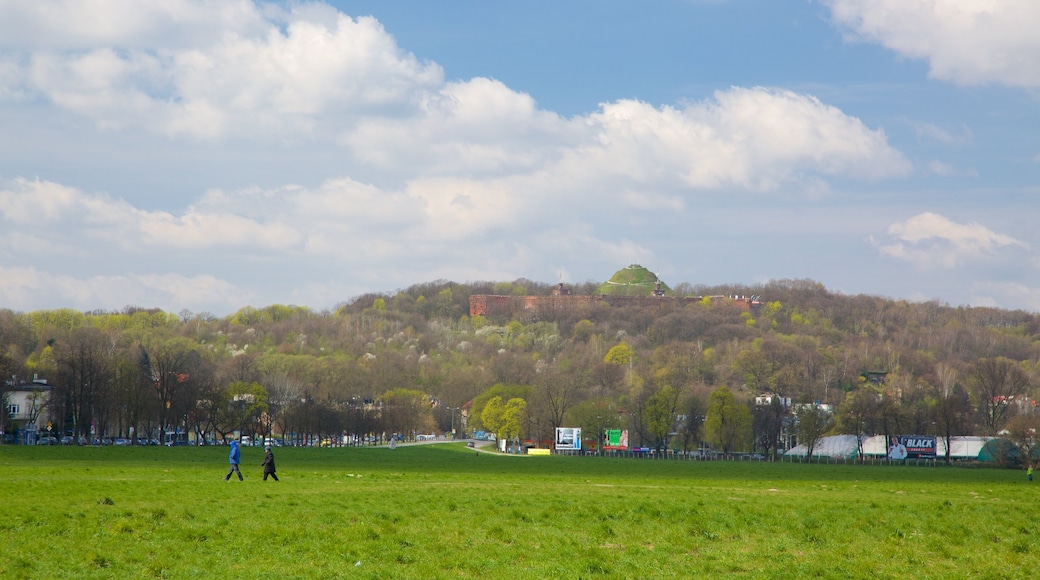 Kosciuszko Mound showing a garden