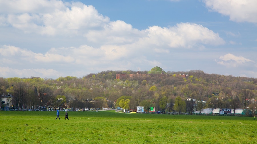 Kosciuszko Mound which includes a garden