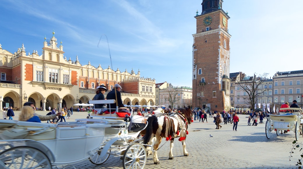 Rådhustårnet som viser torg eller plass og gatescener