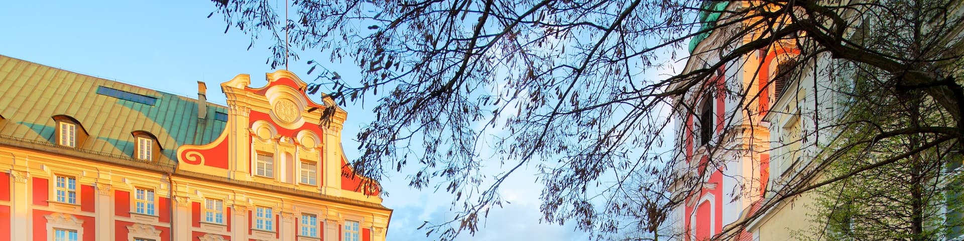 Poznan showing a church or cathedral