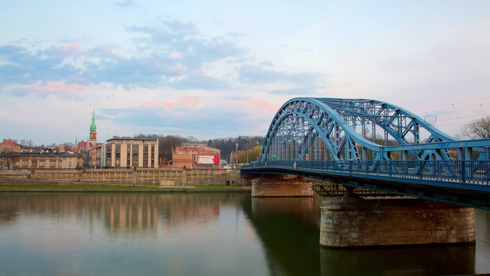 Father Bernatka Footbridge featuring a bridge, a river or creek and a city