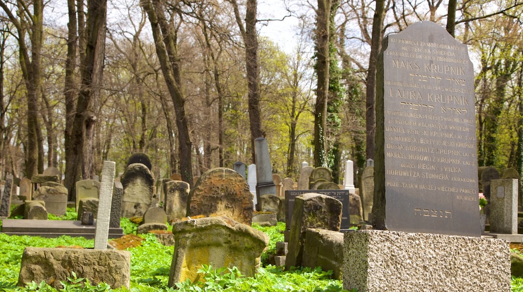 Krakow featuring a cemetery