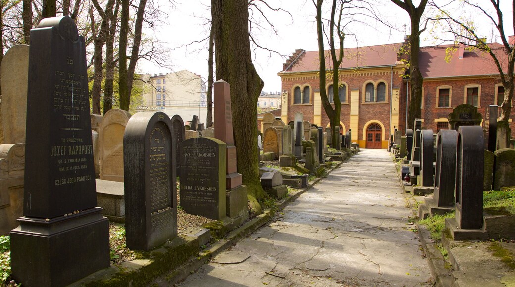 Krakow showing a cemetery