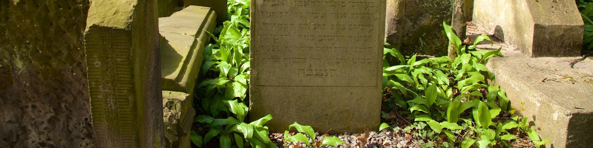 Krakow which includes a cemetery