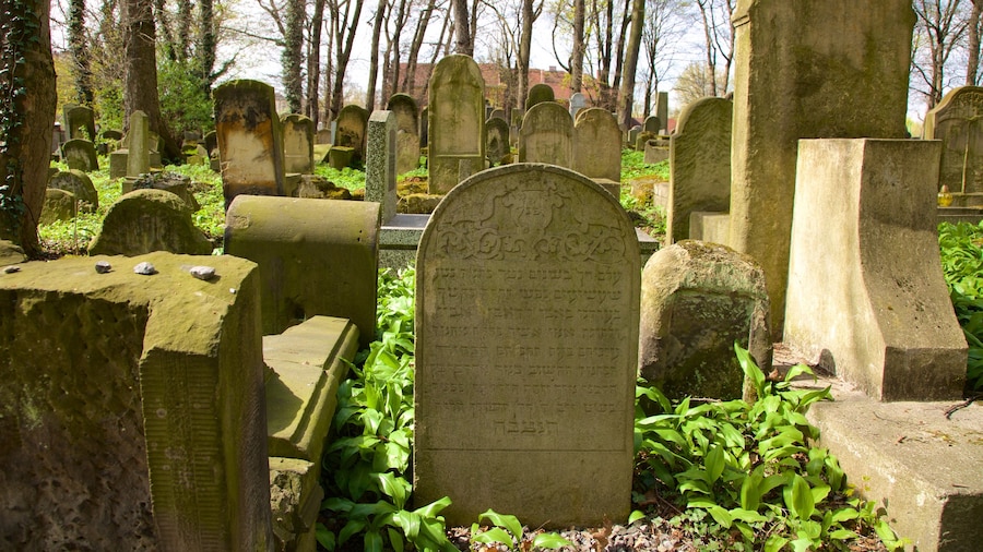 Cracovia che include cimitero