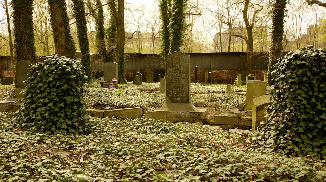 Krakow showing a cemetery