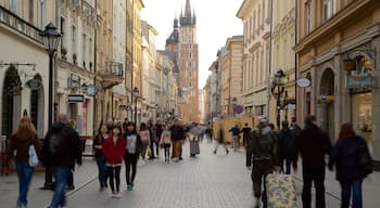 Krakow featuring heritage elements and a city as well as a large group of people