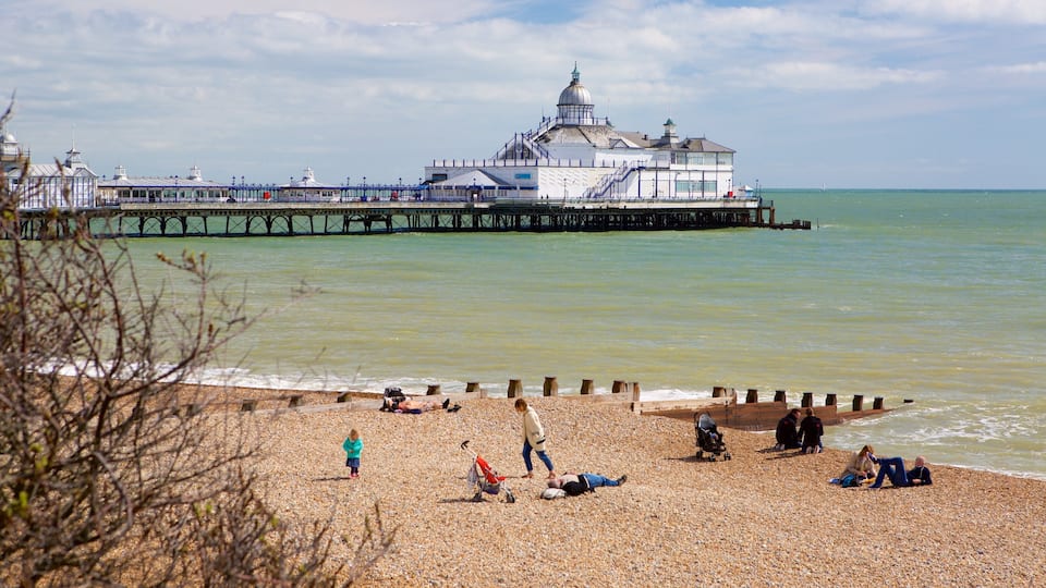 Eastbourne showing general coastal views as well as a small group of people